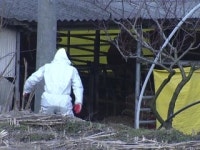 전북 정읍 바이러스, 충북 보은과 일치