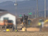 충북 보은 한우농가서 구제역 양성 반응