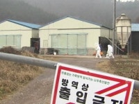 전남 6곳, 이달 말까지 가금류 입식 제한