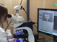 외부 충격으로 인지기능 저하…외상성 치매 원인 규명