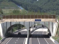 생태통로 곳곳 부실...보여주기식 행정 비난