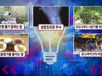 달인이 알려주는 인형 뽑을 때 이것만 명심하라!