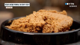 된장이 비만을 억제하는 데 효과가 있다?