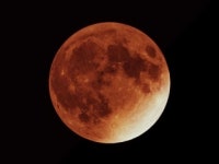 [사이언스 핫파이브] 2월 1주