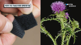 자연이 가진 기능을 모방한 생체모방기술