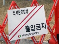 심상치 않은 AI에 전국이 긴장...농민들 불안·허탈
