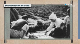 우리나라를 백의민족이라 부르는 이유는?