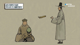 우리인삼약초사 | 삼국시대부터 인삼은 우리나라 주 수출품이었다?