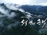 [강원고생대지질공원을 가다] 5억 년의 흔적 5부_영월