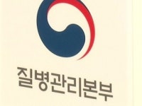 日 올해 풍진 환자 1,100명...임신부 여행 조심해야