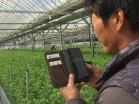 음성으로 농사 짓는다…변화하는 스마트팜