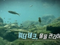워터테크, 물을 관리하다