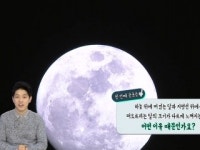 [궁금한 S] 일상 속 궁금한 과학상식 2탄