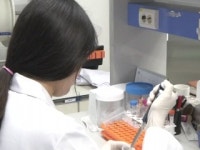 J2K생명공학연구소 | 암 진단·치료 기능 동시에 갖춘 물질 개발