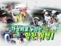 [황금나침반] 가성비로 누리는 알찬 여행!