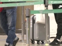 정부 돼지열병 유입방지 공항·항만 11곳 실태점검 완료