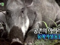공존의 아이러니, 유해야생동물