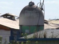 파주 적성면에서 또 돼지열병 확진…네 번째 발병