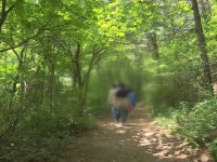 아토피 등 환경성 질환 치유 건강 나누리 캠프 내년 확대