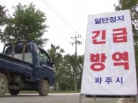 파주에서 돼지열병 또 확진...국내 10번째 발생