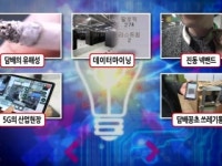 사람에게도 자연에도 백해무익한 담배