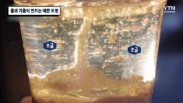 물과 기름이 만드는 예쁜 조명
