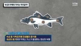 숙성과 부패의 차이는 무엇일까?