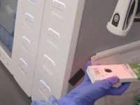 美 FDA, 집에서 샘플 채취 진단검사 키트 승인