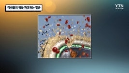 미생물의 핵을 파괴하는 멸균