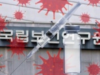 코로나19 백신 후보물질 국내 임상 1상·2상 승인