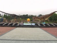 코로나19로 엑스포 잇단 연기...주최 측 전전긍긍