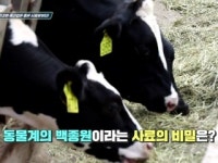 건강한 축산업은 건강한 사료로부터