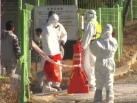 충북 음성 농장에서도 고병원성 AI 확진...전국이 방역 비상