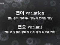맑은 공기, 숨 편한 대한민국 79회