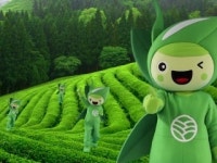 태백수도공무소 | 녹차수도 보성, 1조 원 규모 3대 SOC·5대 뉴딜 추진!