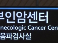 세브란스병원 자궁내막증 환자, 암 발생 위험 34% 높아