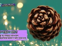 [수학 탐구 체험 교실] 자연속에서 수학을 알아가요