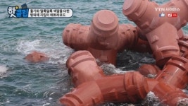 돌기와 알록달록 색깔을 더한 방파제 지킴이 테트라포드