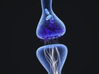 아리바이오, 경구용 치매약 2상 결과 발표