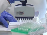 국내 개발 코로나 백신 첫 효능평가...백신 개발 마지막 단계