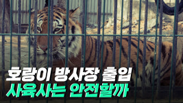 철저한 관리 속 안전한 환경에서 일하는 사육사