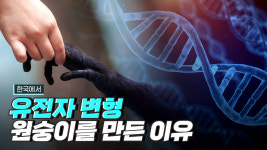한국에서 유전자 변형 원숭이를 만든 이유