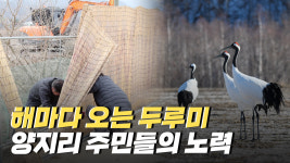두루미를 위한 양지리 주민들의 노력