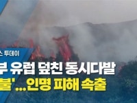 남부 유럽 덮친 동시다발 '산불'...인명 피해 속출