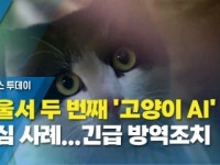서울서 두 번째 고양이 AI 의심 사례...긴급 방역조치