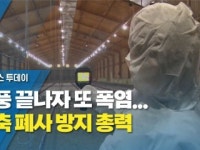 태풍 끝나자 또 폭염...가축 폐사 방지 총력