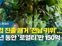 유럽 진출 쾌거 전남 키위...10년 동안 로열티만 150억 원!