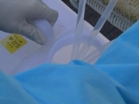 해수부, 日 오염수 방류 이후 첫 방사능 조사...안전