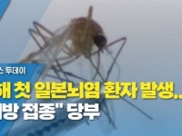 올해 첫 일본뇌염 환자 발생...