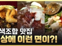 [황금나침반] 세상에 이런 면이?!